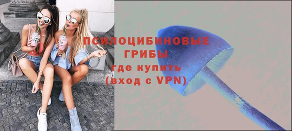 винт Покачи